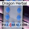 Dragon Herbal 21